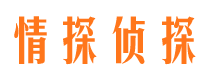 罗源市调查公司